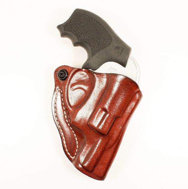 Revolver in Holster