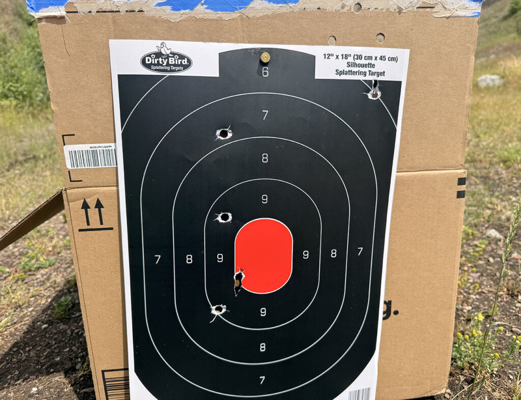 target showing projectile spread at 20 yards