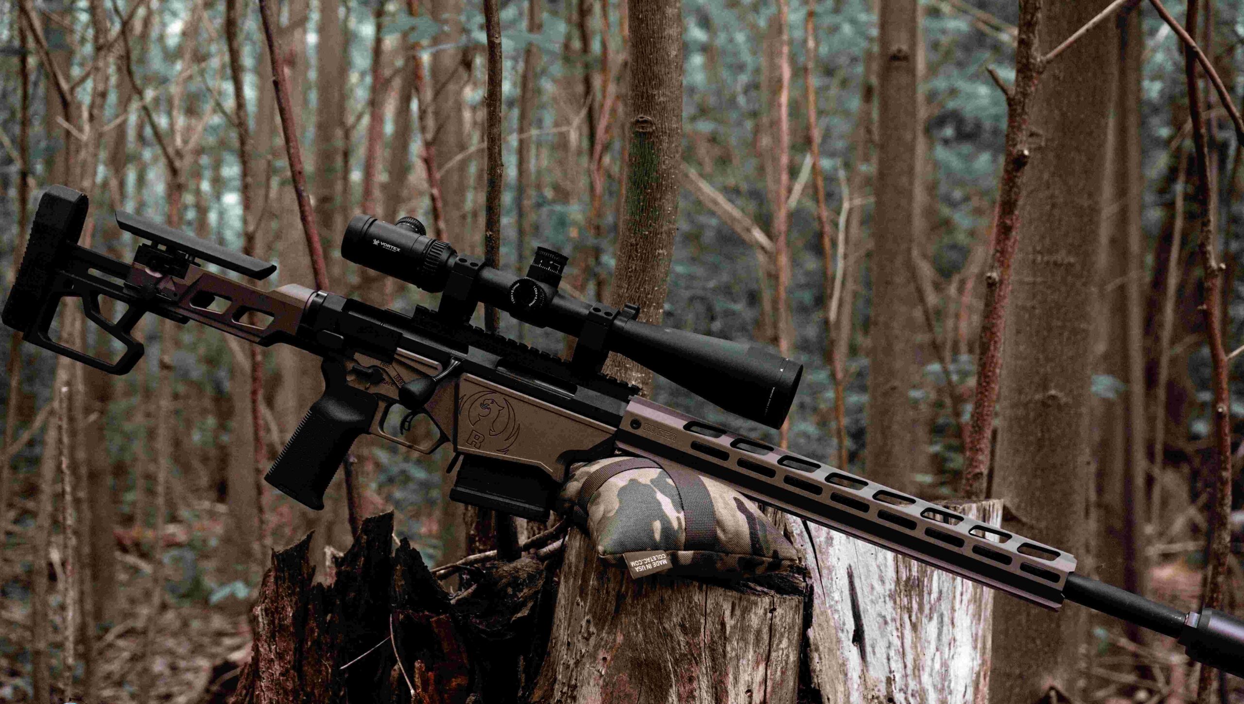 author's .308 hunting rifle 