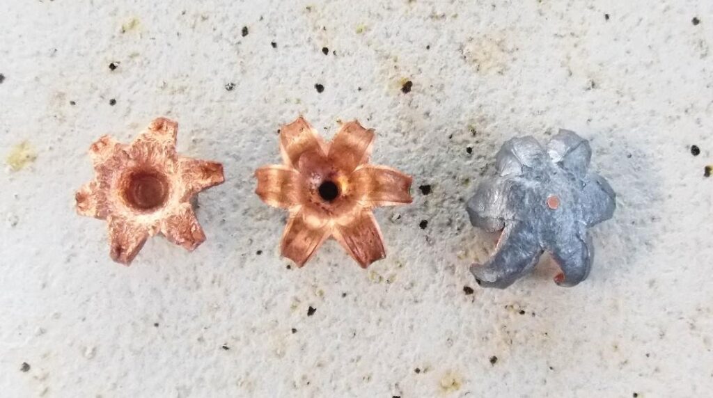 expanded bullets